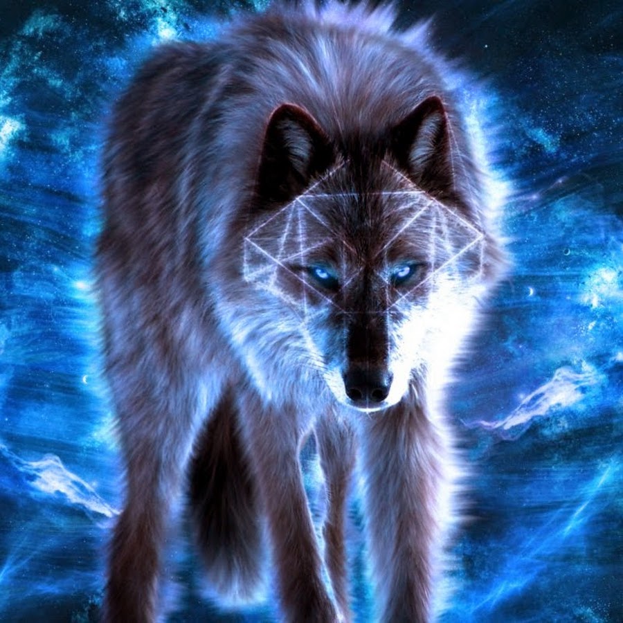 Mercer Virus YouTube