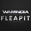 What could Wamindia Music buy with $100 thousand?