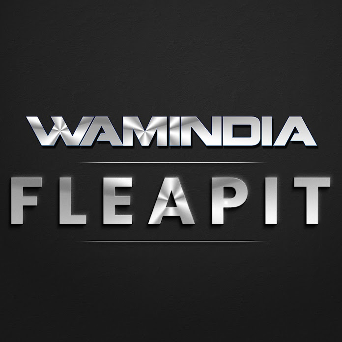 Wamindia Music Net Worth & Earnings (2024)