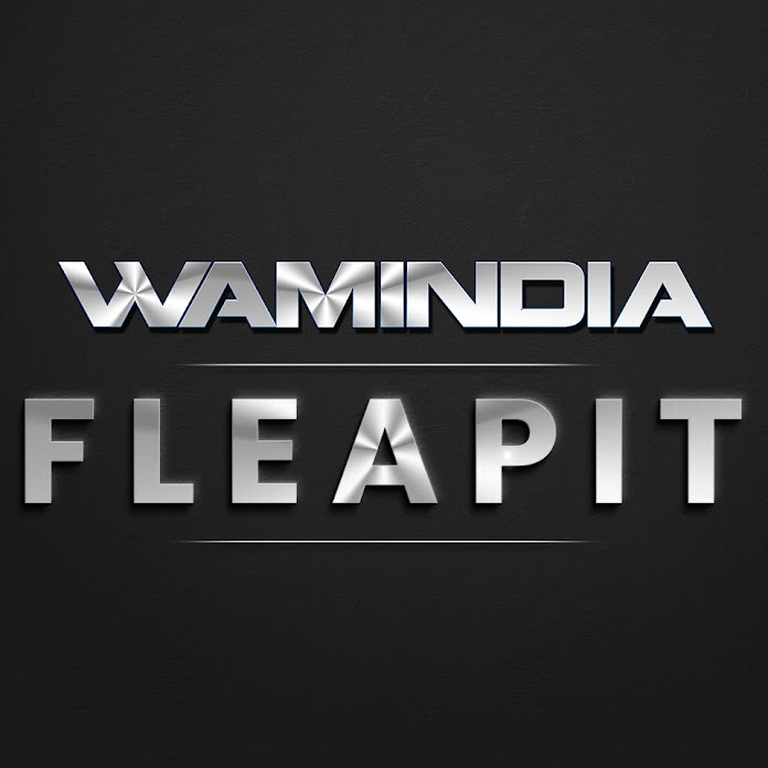 Wamindia Music Net Worth & Earnings (2026)