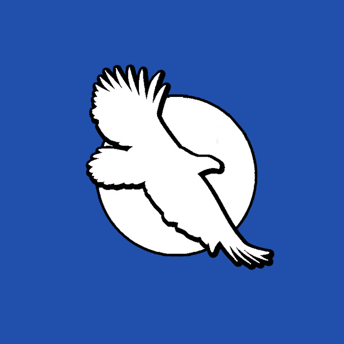 TIGZIRT TV Net Worth & Earnings (2026)