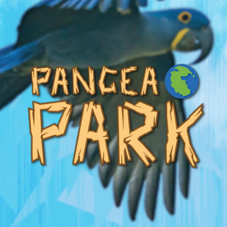 Pangea Park YouTube