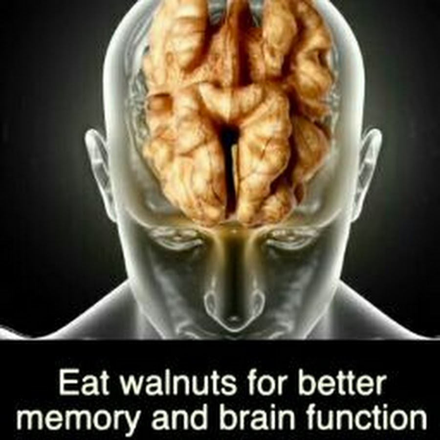 Eat brain. Lib Tech eats your Brain. I need eat Brain.