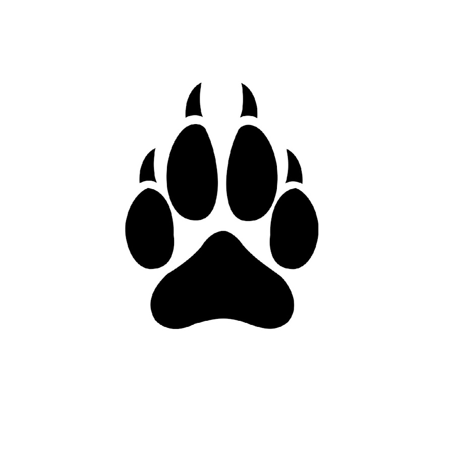 Следы волка картинки для детей распечатать