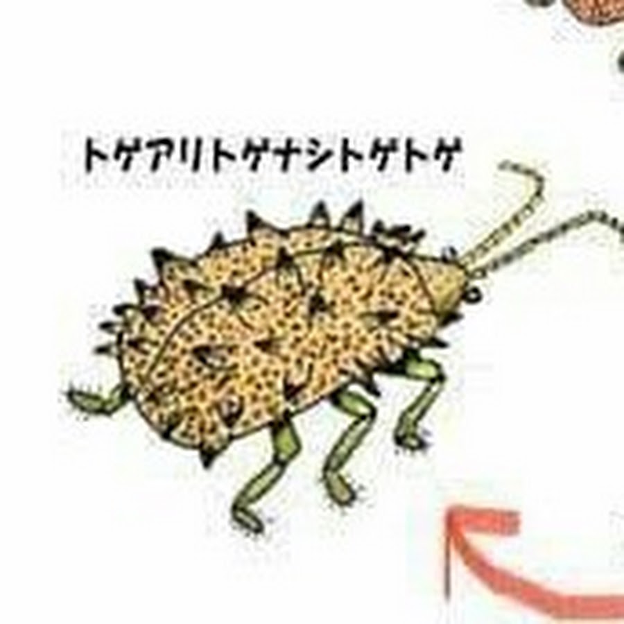トゲアリトゲナシトゲトゲ YouTube