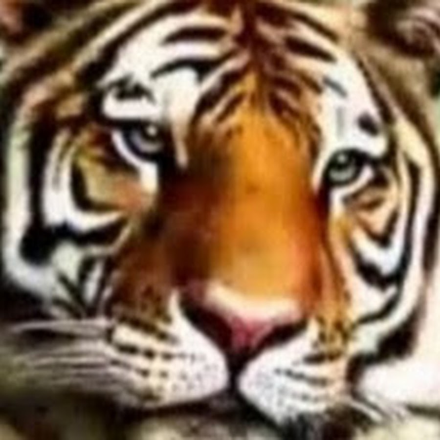 AGF-l79hwuBdBsmi6FqavUt_FCv3qhss8yrZ_47w