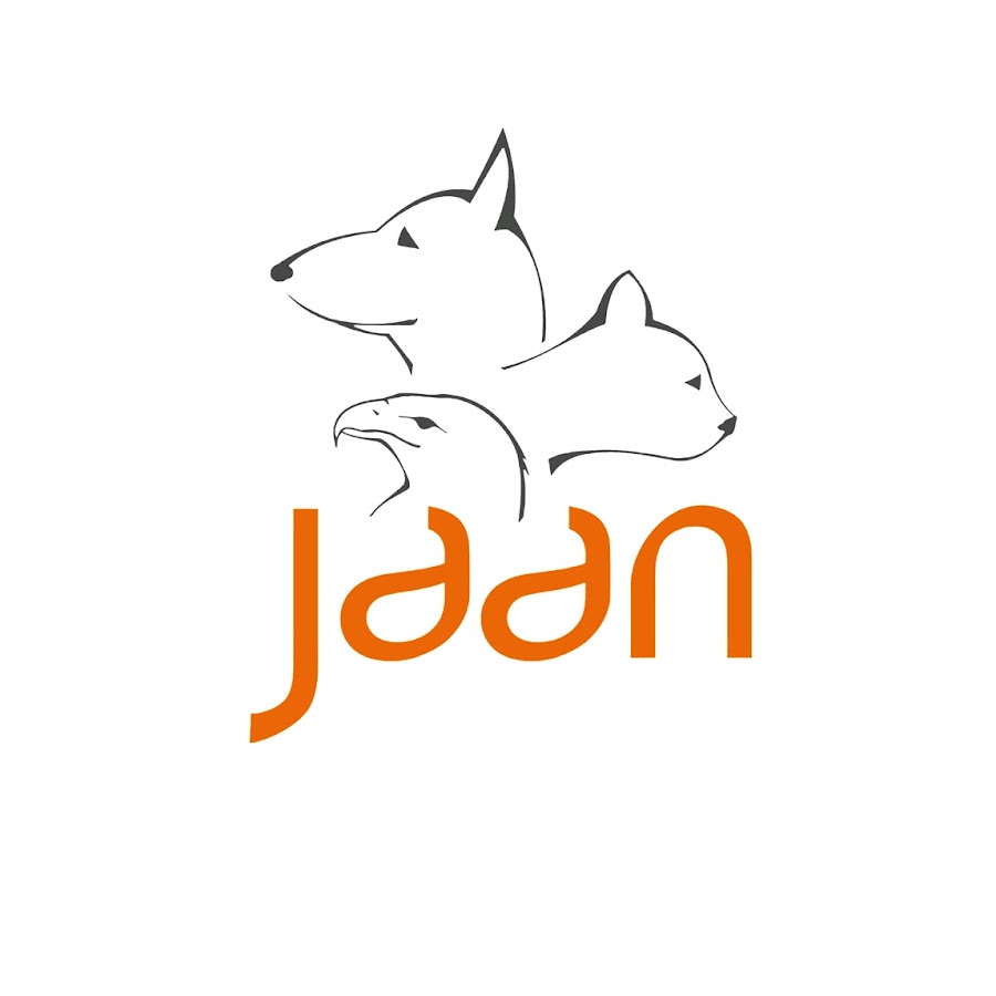 Jakarta Animal Aid Network - YouTube