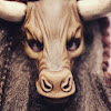 What could ASMinotauR buy with $280.8 thousand?