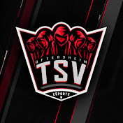 eSport Rhein-Neckar - Channel 