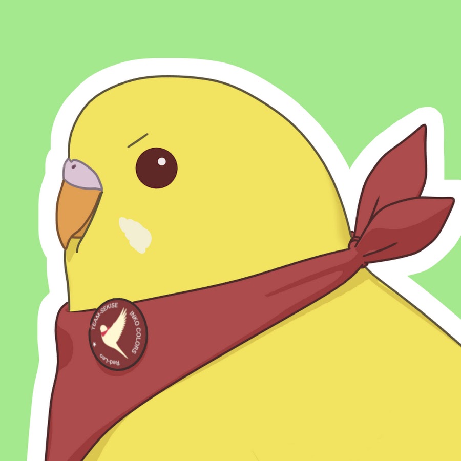 これまでで最高のインコ アニメ 最高のアニメ画像