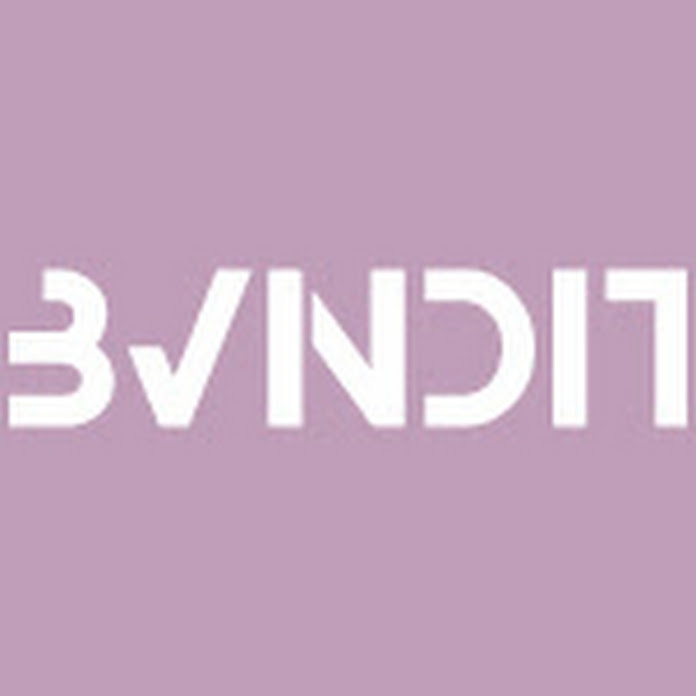 BVNDIT Net Worth & Earnings (2024)