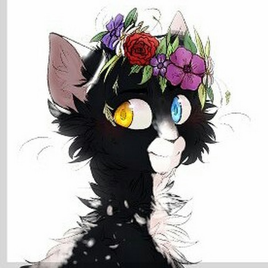 Lapka kate рисунки