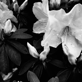 �����ˤä� YouTube