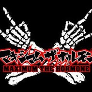 マキシマム ザ ホルモン公式