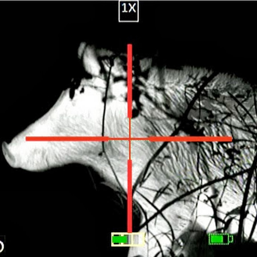Ultimate Night Vision - YouTube