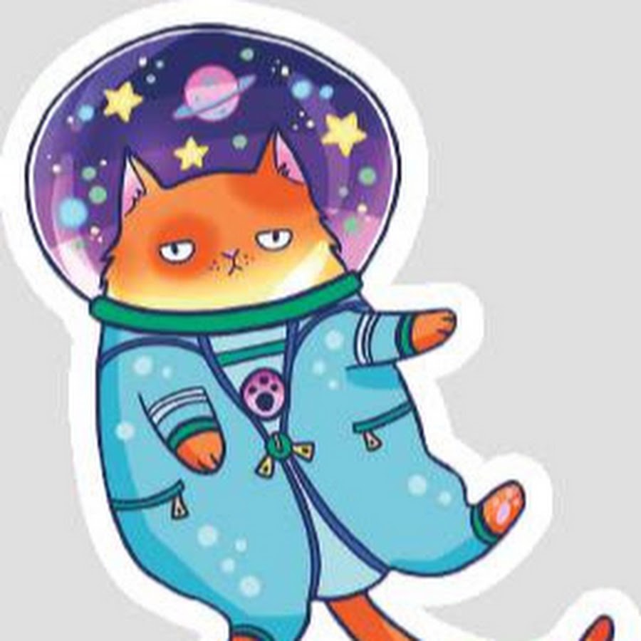 Космический котик