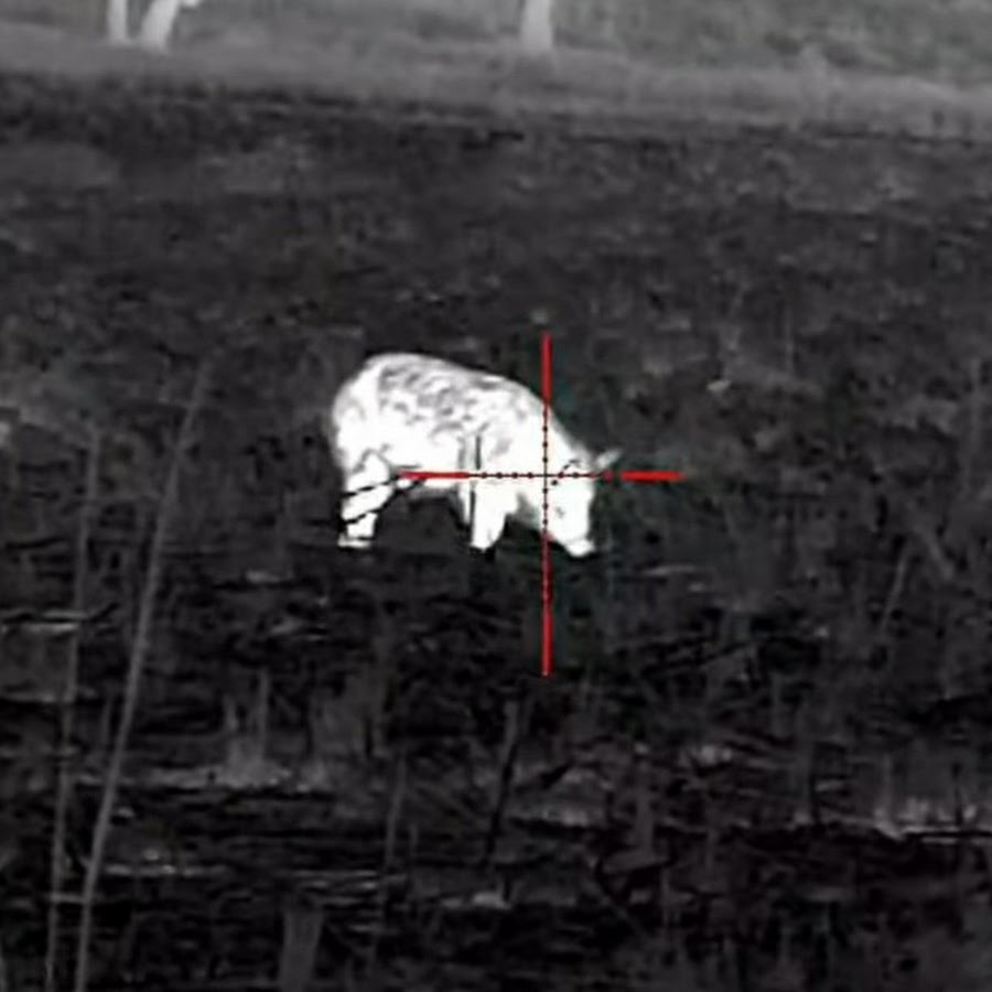 Thermal Hunting Australia YouTube