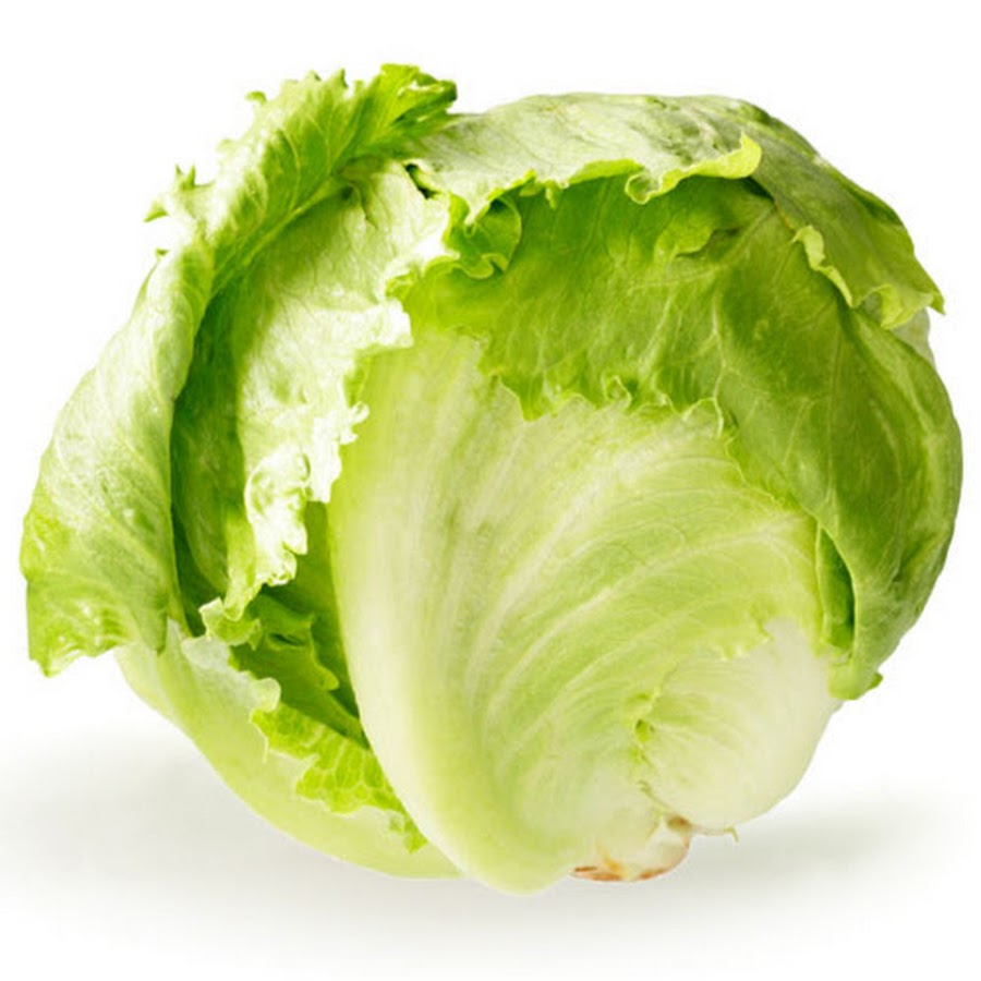 Lettuce YouTube