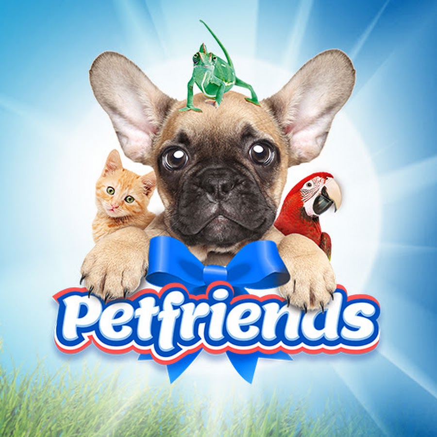 Petfriendsch Youtube