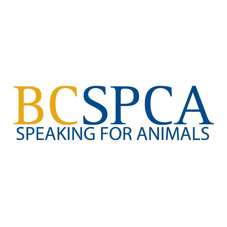 BC SPCA (BCSPCA Official Page) YouTube