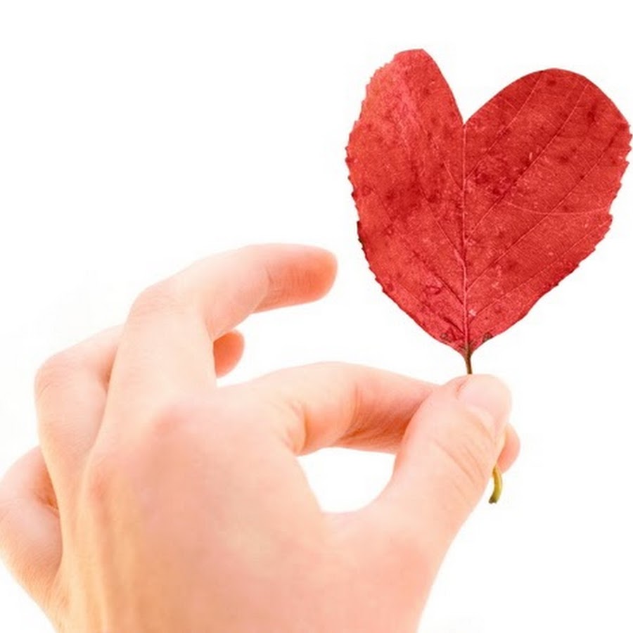 цитаты про людей. больше всего хранимого храни сердце свое потому. фразы про разум. красивые цитаты про сердце. высказывания про душу и сердце.