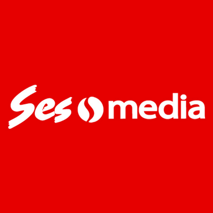 SesMedia Net Worth & Earnings (2024)