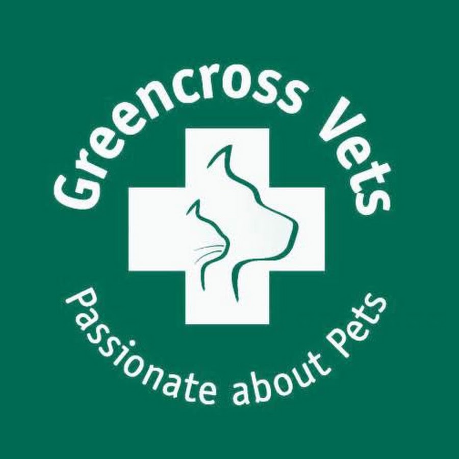 Greencross Vets Port Macquarie YouTube