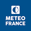 What could METEO FRANCE buy with $100 thousand?
