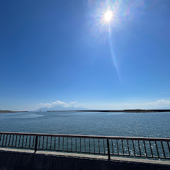 ぽむぽむ