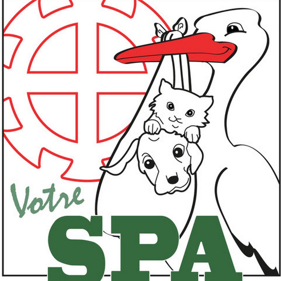 Société Protectrice des Animaux YouTube