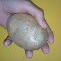 potato (potato1484)