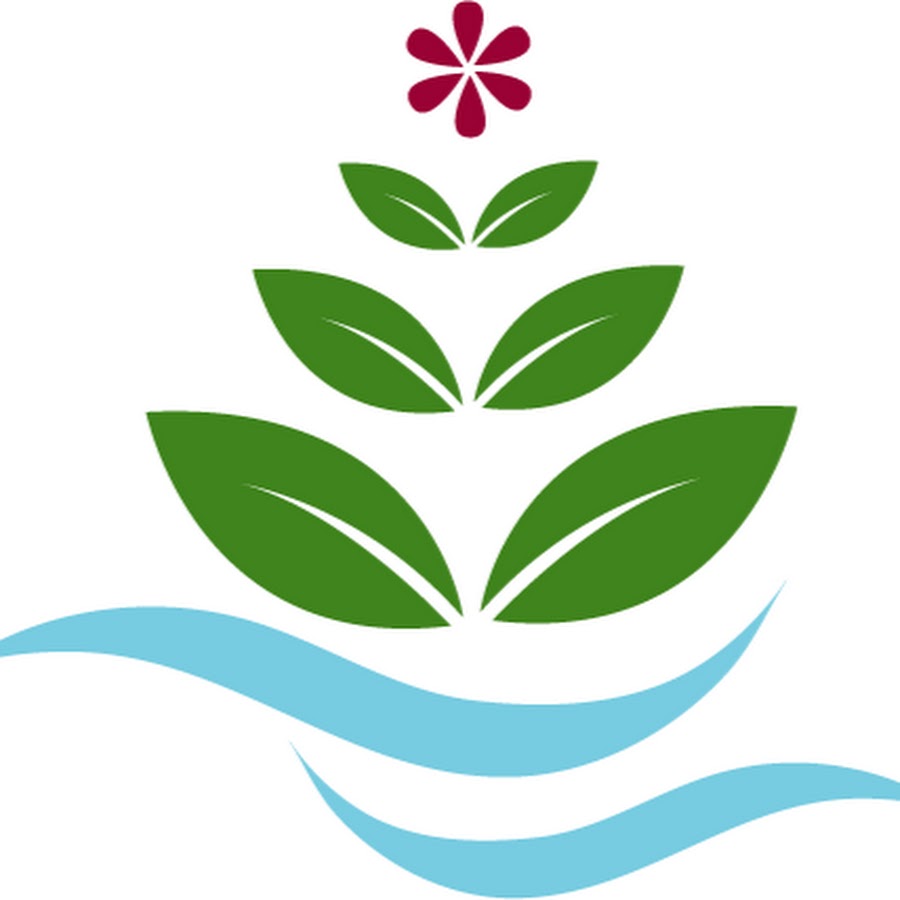 NoSoilSolutions - YouTube