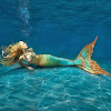 Mermaid Sabrina