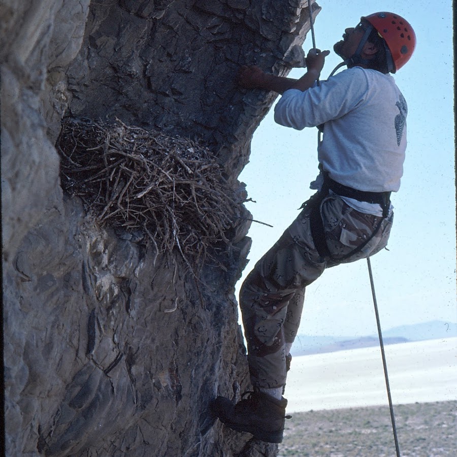 Backcountry Chronicles YouTube