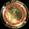 Master Mehrdad Martial Arts and Muay Thai