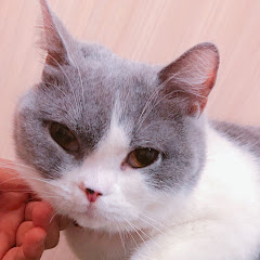 しゅんけん