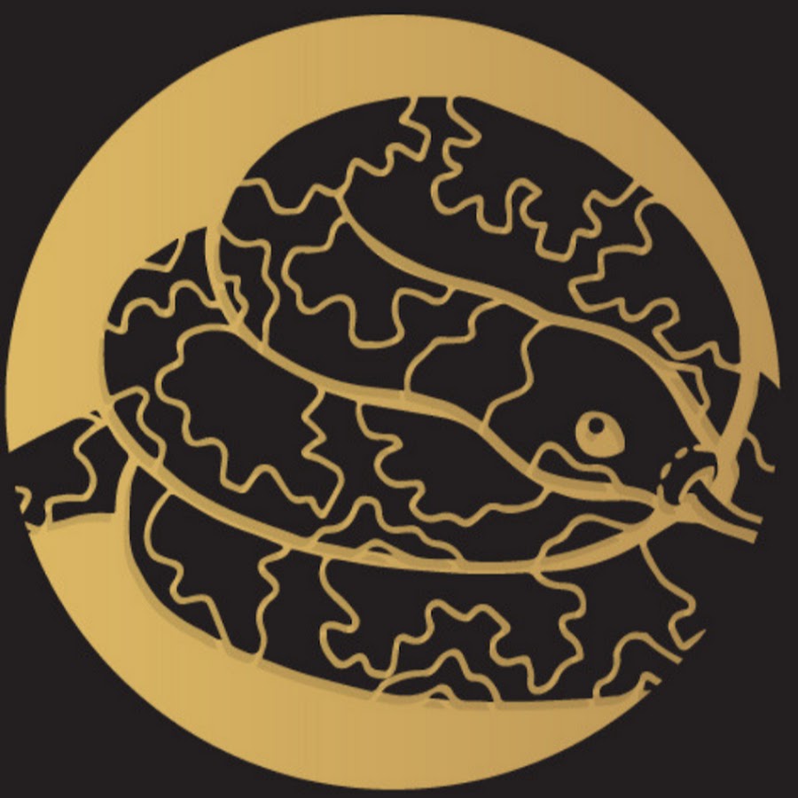 Wickens Wicked Reptiles YouTube