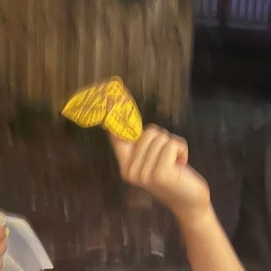 Daniel Nielsen - YouTube