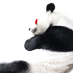 ゆるパンダのひとりごと