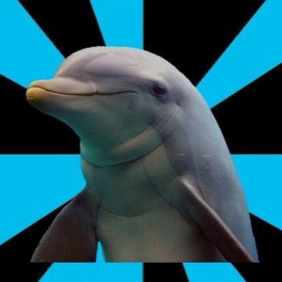 Дельфины с оружием. Джонни мнемоник дельфин. Джонни мнемоник дельфин. Flipper zero дельфин. Дельфин хакер.