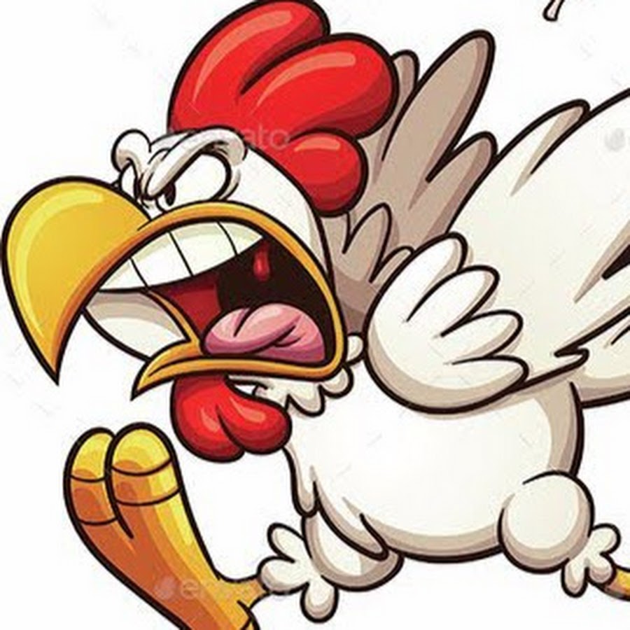Злой петух картинки