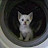 channel icon