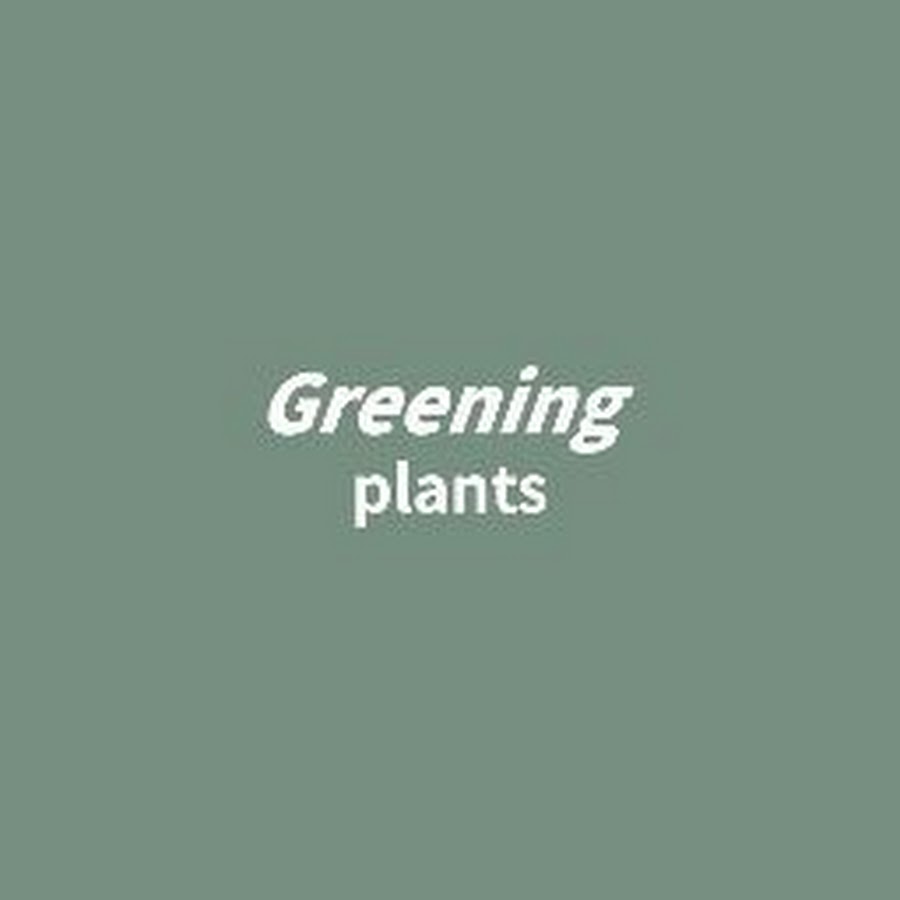   Atelier숨결 - YouTube Atelier숨결