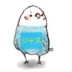 Channelジャス