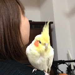 あさみみやざわ