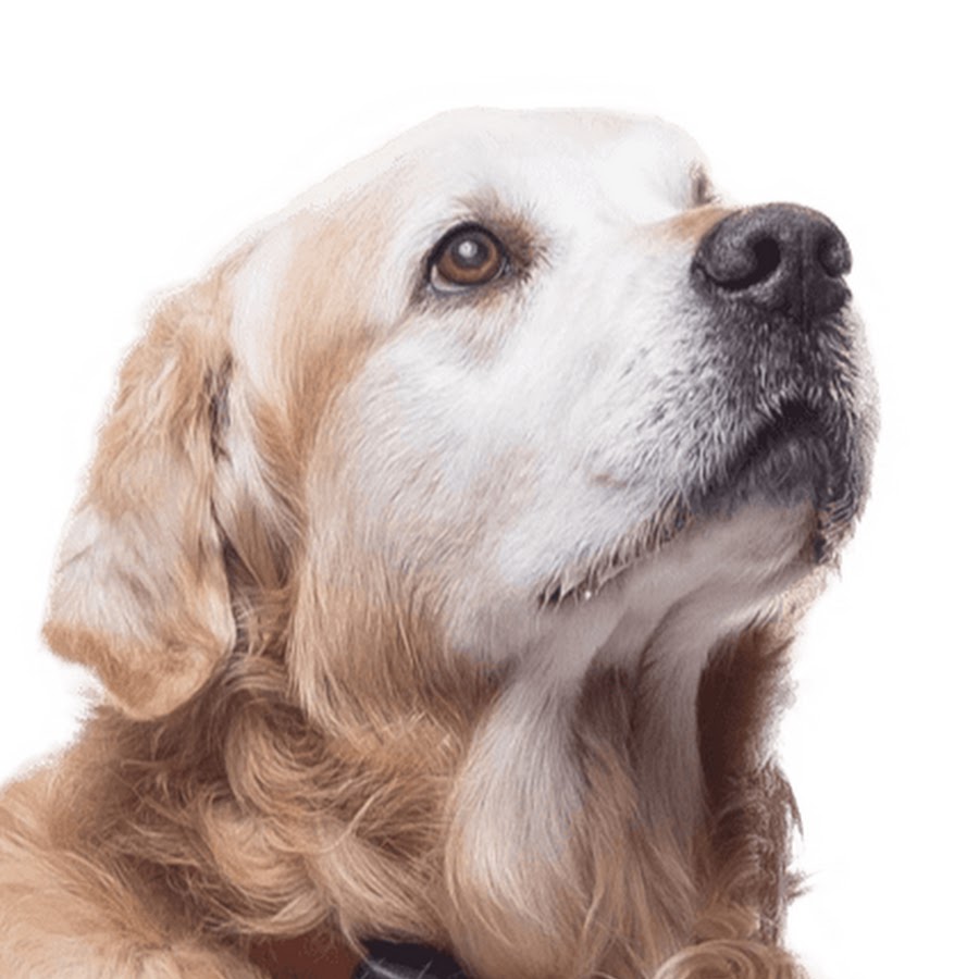 Flxme - Fortnite - YouTube