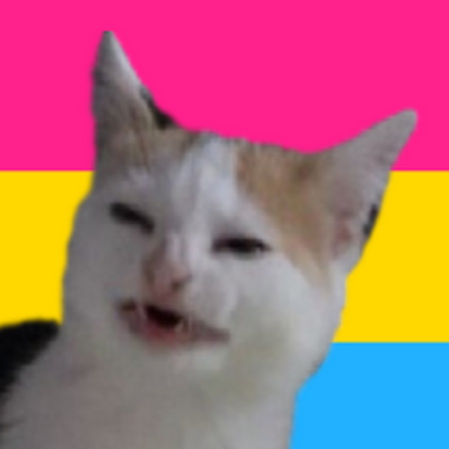 Фу пашлятена. Кот Мем. Кот отвращение Мем. Кот фу. Кот фу Мем