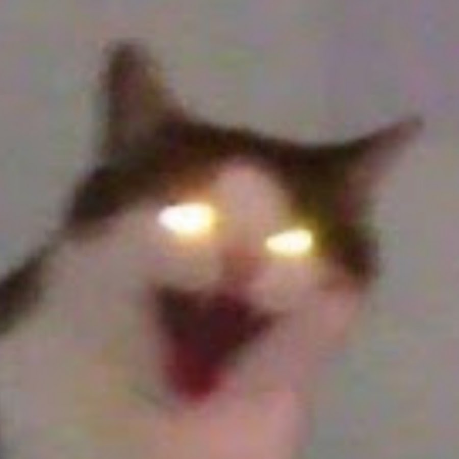 roblox unicorn obby radiojh games microguardian with facecam