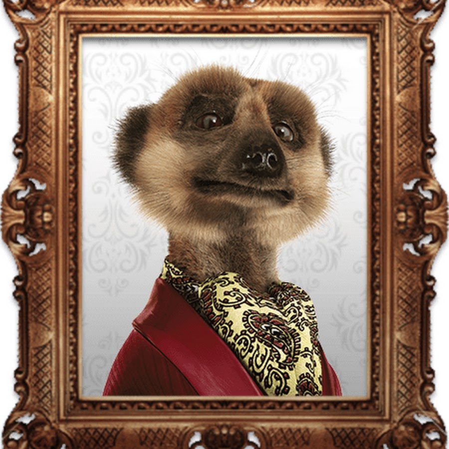 Compare the Meerkat Adverts YouTube