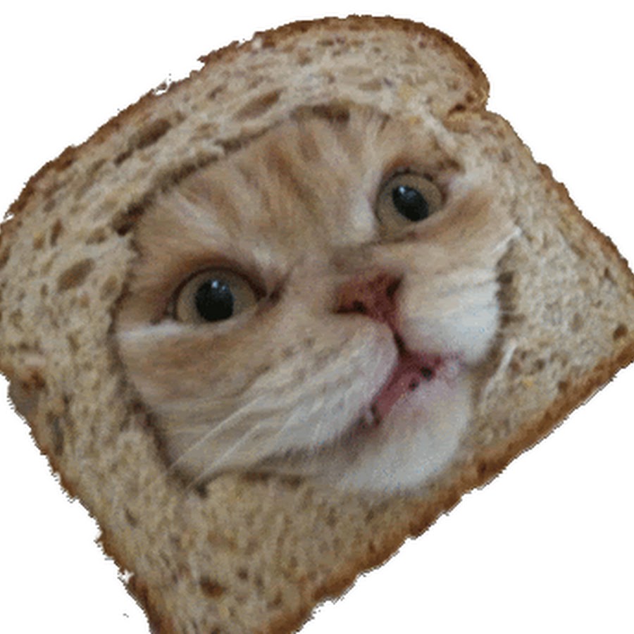 Кот в хлебе картинки